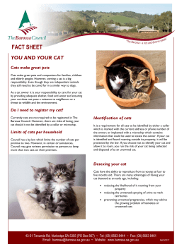 fact sheet you and your cat