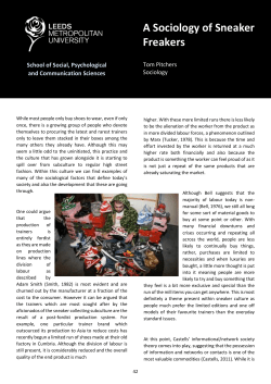 A Sociology of Sneaker Freakers