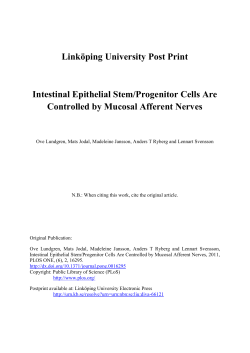 Intestinal Epithelial Stem/Progenitor Cells Are Controlled by