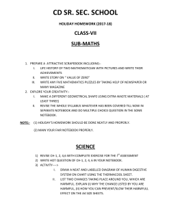 holiday homework - CD International School