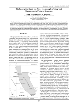 Schneider and Walmsley - Ministry of Mines and Energy