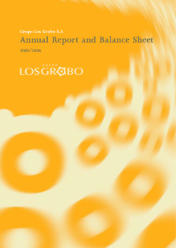 Annual Report and Balance Sheet