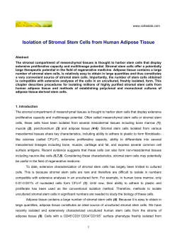 Isolation of Stromal Stem Cells from Human Adipose Tissue