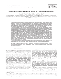 Population dynamics of epiphytic orchids in a