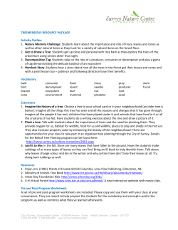 Employment Letter of Understanding