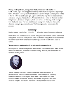 During photosynthesis, energy from the Sun interacts