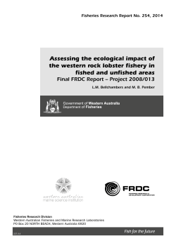 Assessing the ecological impact of the western rock lobster fishery in