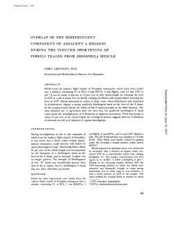 overlap of the birefringent component of adjacent a regions during