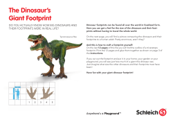 Schleich® | Spielzeug | Tierfiguren und Spielsets