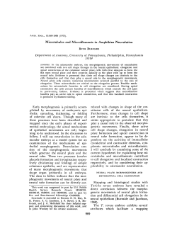 Microtubules and Microfilaments in Amphibian Neurulation