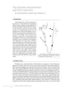 The Gibraltar Neanderthals and their extinction