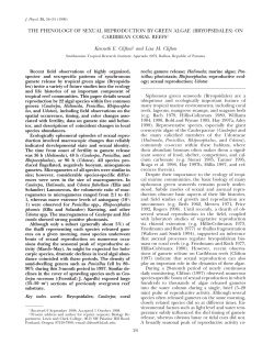 THE PHENOLOGY OF SEXUAL REPRODUCTION BY GREEN