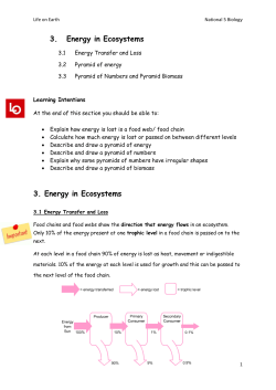 3. Energy in Ecosystems 3. Energy in Ecosystems