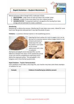 Rapid Oxidation - Student Worksheet File