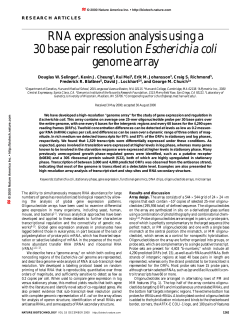 RNA expression analysis using a 30 base pair