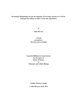 Developing Methodologies for the Investigation of Free