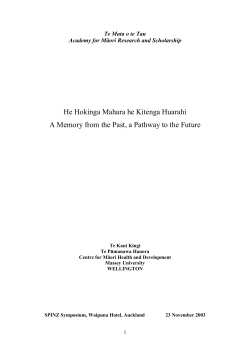 It is often said that a preferred Mäori approach to planning is to look