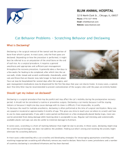Scratching Behavior and Declawing
