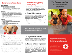 Our First Aid Safety Flyer