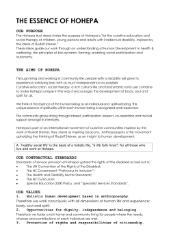 Essence of Hohepa Document