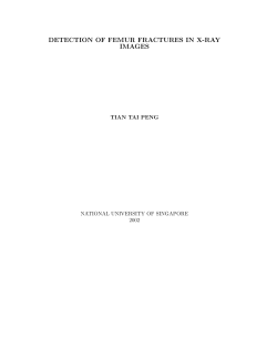 Detection of Femur Fractures in X-Ray Images