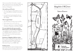 Magdalen Hill Down - Butterfly Conservation