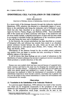 endothelial cell vacuolation in the cornea
