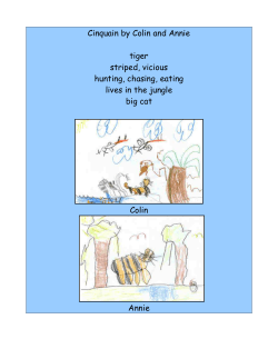 Sample Student Cinquains