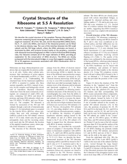 Crystal Structure of the Ribosome at 5.5 &Epsilon; Resolution