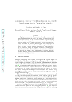Automatic Neuron Type Identification by Neurite Localization in the