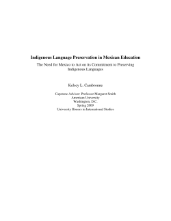 Indigenous Language Preservation in Mexican Education