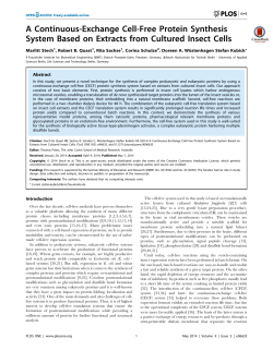 A Continuous-Exchange Cell-Free Protein Synthesis System Based
