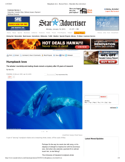 Humpback love - Whale Trust Maui