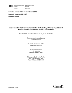Assessment of the Recovery Potential for the Outer