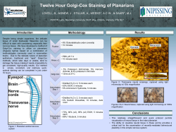 Golgi_SFN_2014_Poster_Final