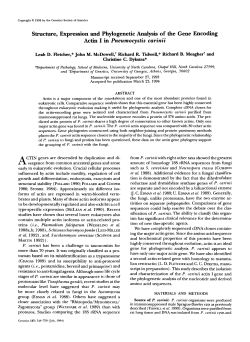 Structure, Expression and Phylogenetic Analysis of the
