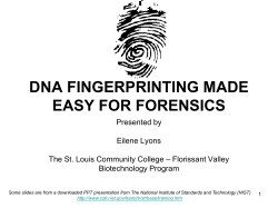 DNA Fingerprinting Overview - STLCC.edu :: Users` Server