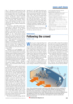 news and views