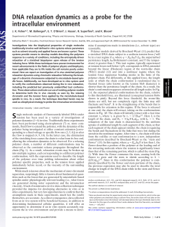 DNA relaxation dynamics as a probe for the