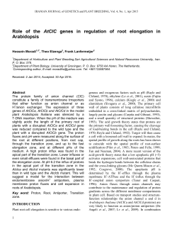 Role of the AtClC genes in regulation of root elongation in Arabidopsis