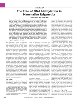The Role of DNA Methylation in Mammalian Epigenetics