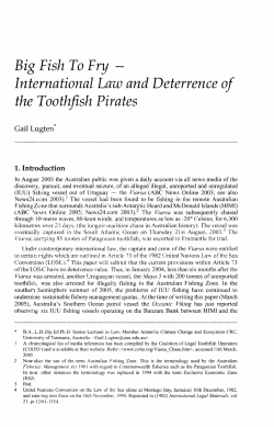 Big Fish To Fry International Law and Deterrence of the