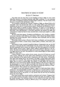 Breathing of Birds in Flight