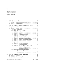 Law of Damages in Wisconsin - Sample Chapter
