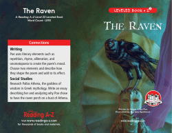 raz_lz26_raven_clr