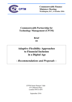 Adaptive Flexibility Approaches to Financial Inclusion in a Digital Age
