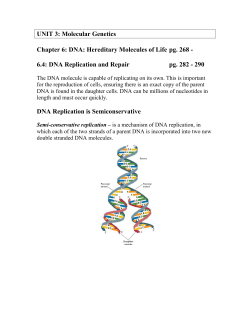 Note 6.4 - DNA Replication and Repair