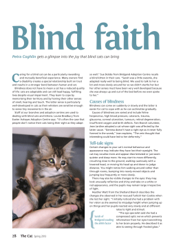 Petra Coghlin gets a glimpse into the joy that blind cats