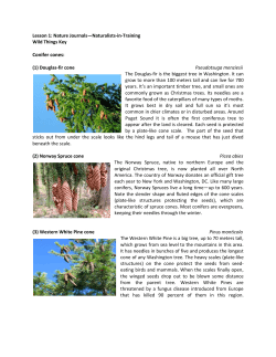 List of Wild Things - University of Puget Sound