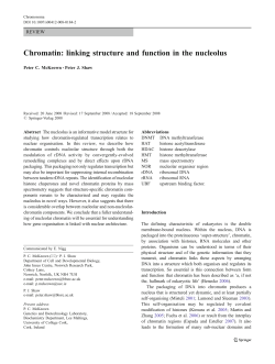 Chromatin: linking structure and function in the nucleolus